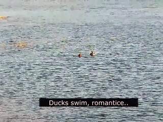 Romantic Blowjob on the Beach of Love with Ducks: sex clip 01 | xHamster